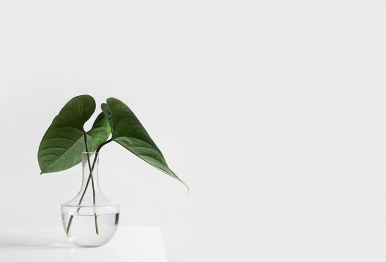 Minimalism and ecology go hand in hand