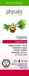 Cypress / Cyprès