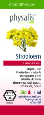 Italian Helichrysum / Helichryse italien
